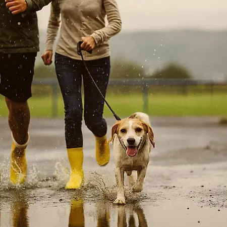 Bps #8 Business Lägenhet *