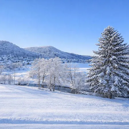 Bps #8 Business Lägenhet Horb am Neckar